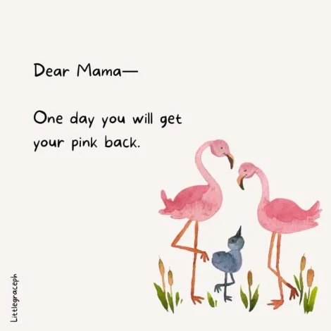 Mengenal Apa Itu Flamingo Era: Tren Viral Ungkap Sisi Sunyi Ibu