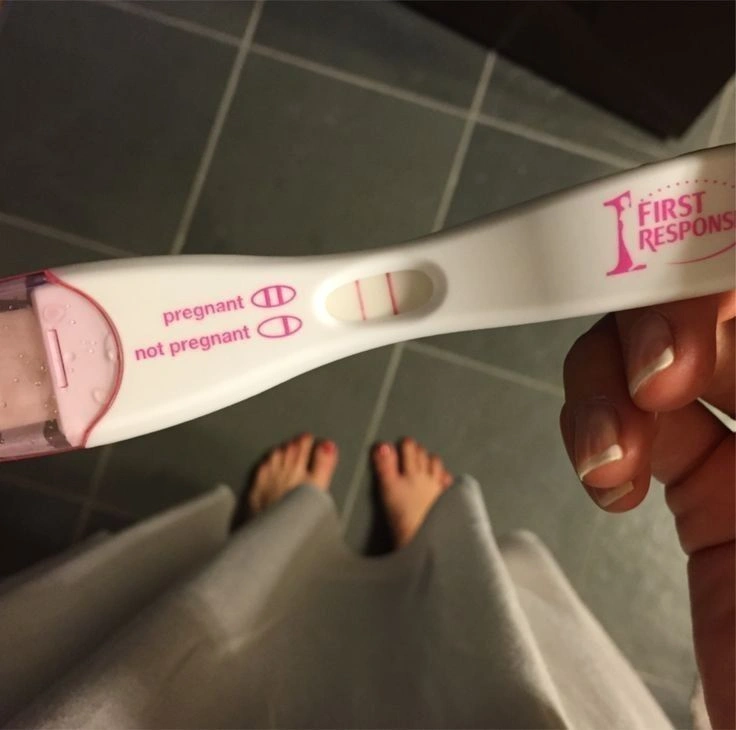 Bulu Kucing Bikin Mandul? Cek Fakta Medisnya Di Sini!