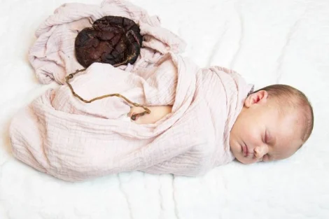 Ari-Ari Bayi Harus Dikubur? Ini Fakta Medis dan Tradisinya